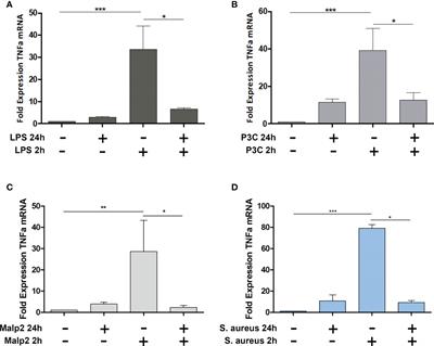 Staphylococcus aureus induces tolerance in human monocytes accompanied with expression changes of cell surface markers